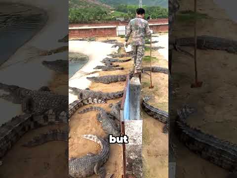 Risky Zookeeper! 😳 #shorts