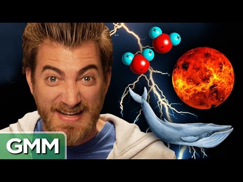 Science Facts You Need To Know - UC4PooiX37Pld1T8J5SYT-SQ