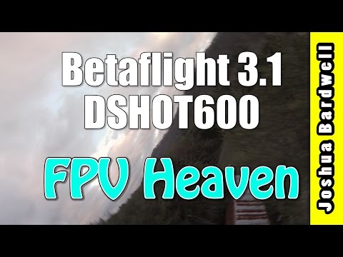 Betaflight 3.1 DSHOT600 FPV FREESTYLE | damn it's good. - UCX3eufnI7A2I7IkKHZn8KSQ