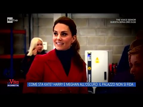 Come sta Kate? Harry e Meghan all'oscuro: il Palazzo non si fida - La Vita in diretta 22/03/2024