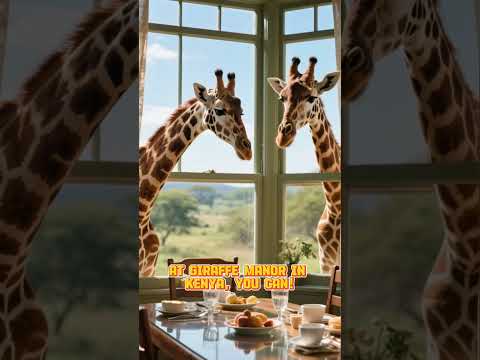 Most Unique Hotels You Can Actually Stay In!