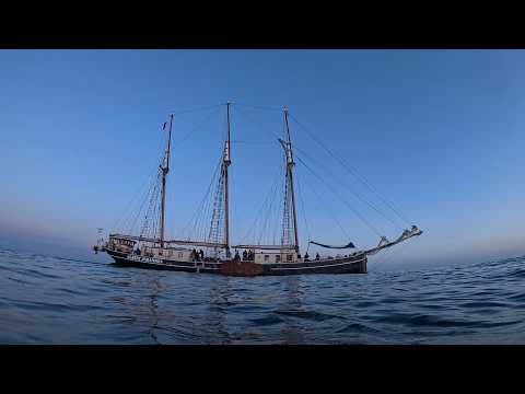 Liveaboard Wreck diving in the Baltic Sea - September 2025
