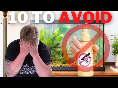 AVOID Making these 10 Fishkeeping Mistakes Hey Legends!

Recently due to an aquatic disaster of my own I got thinking about 10 common mistakes 