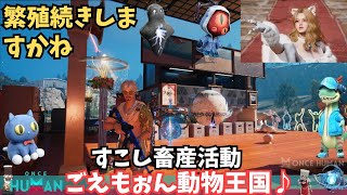 【ワンスヒューマン/ゲーム実況/ゲーム攻略】224　繁殖とレインシェル【#OnceHuman】