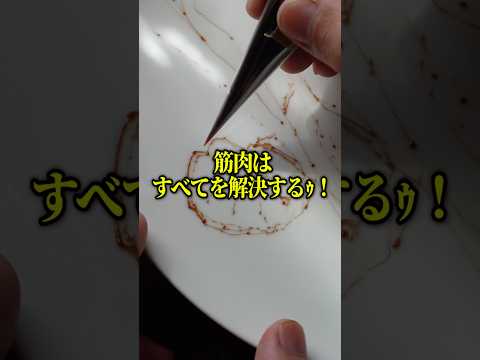 筋トレしてください！！！！　#shorts #チョコペン #筋トレ