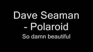 Dave Seaman (Polaroid) - So damn beautiful