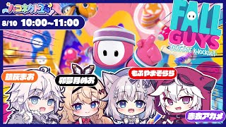 【#ハコネクト24】目指せクラウン👑FALLGUYS 【銀灰まお/ハコネクト】