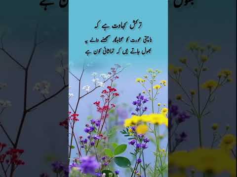 #quotes #poetry #motivation #aqwalezareen #4line #love #shorts