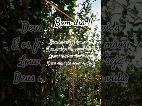 #jesus #amor #caminhodaverdade #fe #caminhosdosenhor #mensagem #caminhoparaumavidamelhor #frases