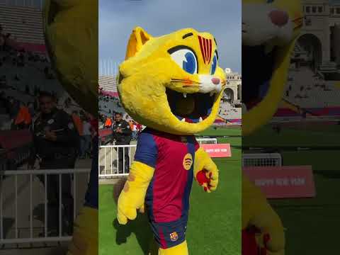 Our players love playing with CAT before the games 🐱❤️ #fcbarcelona #Cat #shorts