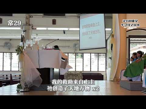 常29 答唱咏 - 我的救助来自上主 祂创造了天地万物