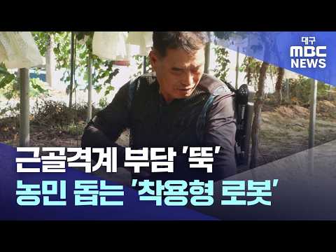 근골격계 부담 '뚝'..농민 돕는 '착용형 로봇' | 대구MBC뉴스
