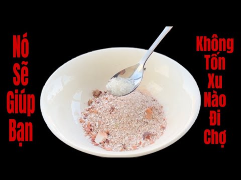 Một Giải Pháp Tốt Nhất / Nó Giúp Bạn Không Tốn Một Xu Đi Chợ Nữa