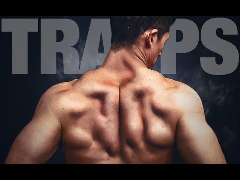 Bodyweight Traps Workout (GET BIG TRAPS!) - UCe0TLA0EsQbE-MjuHXevj2A