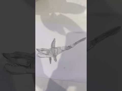 Orca diy paper thing 2/full body