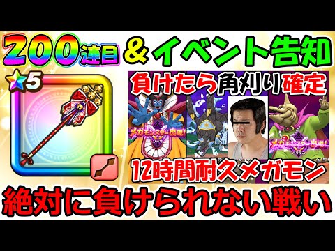 【ドラクエウォーク】ジパング巫女装備200連目＆激熱イベント告知！