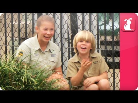 Bindi & Robert Irwin feature huge salt-water crocodile - Growing Up Wild - UCPIvT-zcQl2H0vabdXJGcpg