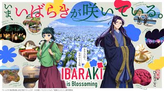 【茨城県×TVアニメ『薬屋のひとりごと』】スペシャルコラボムービー