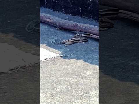 # tu aapna chotki bahin se set kara da na#bhojpuri #love #romanticpair ☹️☹️