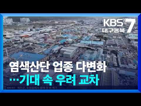 염색산단 업종 다변화…기대 속 우려 교차 / KBS  2026.08.24.