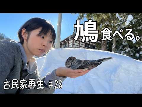 【古民家再生】真冬のDIY後に鳩とジビエで宴会したよ | 古民家リノベーション #28