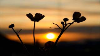 North Sunset - Morning Flower (Sunbeam Remix)