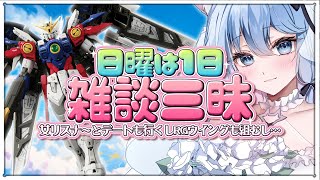 【日曜だし…雑談しよ🩷】おしゃべりオタクとRGウイングゼロ #雑談 #ガンプラ