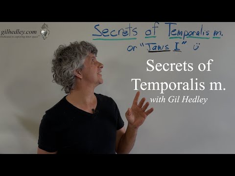 Secrets of Temporalis m.:Learn Integral Anatomy with Gil Hedley