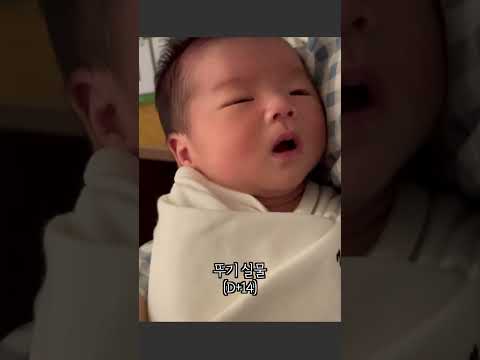 AI가 예측한 뚜기의 얼굴, 맞았을까? 👶🏻