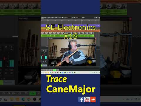 Testing the Shure SM4 vs the SE Electronics X1S Microphones