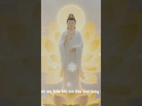 #phatphap #loiphatday #baihoccuocsong