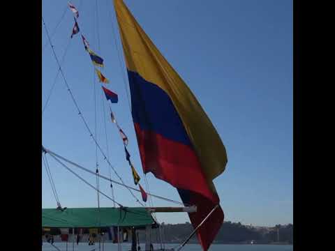 Colombian flag waving at the back of the ship #buquegloria #tallship #subscribe #views #navy