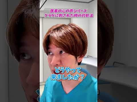 【医者の心の声】クラゲに刺された時の対処法