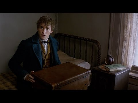 Fantastic Beasts and Where to Find Them - Announcement Trailer [HD] - UCjmJDM5pRKbUlVIzDYYWb6g
