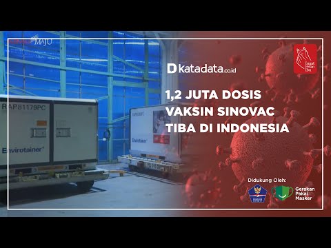 1,2 Juta Dosis Vaksin Sinovac Tiba di Indonesia | Katadata Indonesia