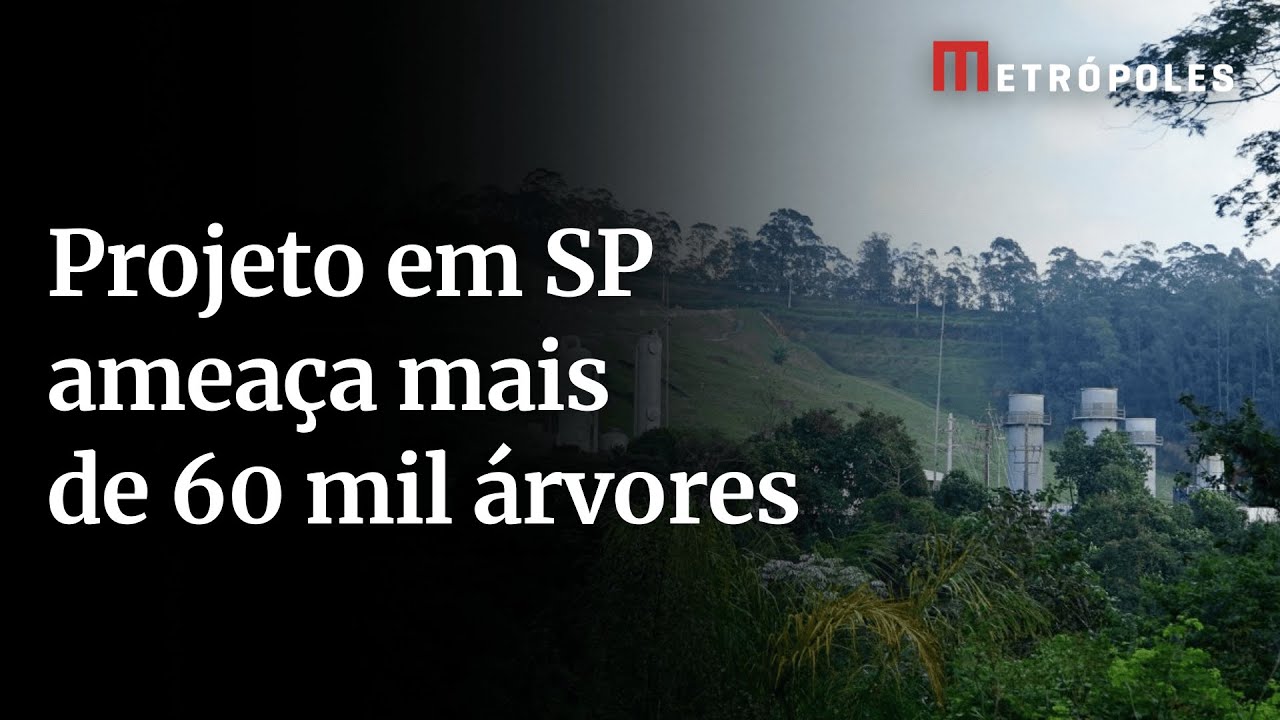 Projeto em SP ameaça mais de 60 mil árvores