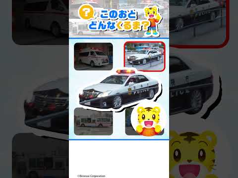 猫の動画サムネイル - きいたことあるかな？のりものの おとあてクイズ🚓🎵