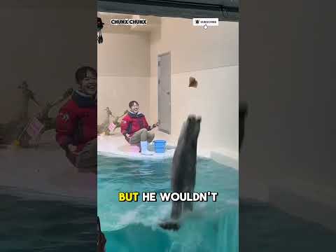 Cute Beaver❗😱#shorts #shortsvideo