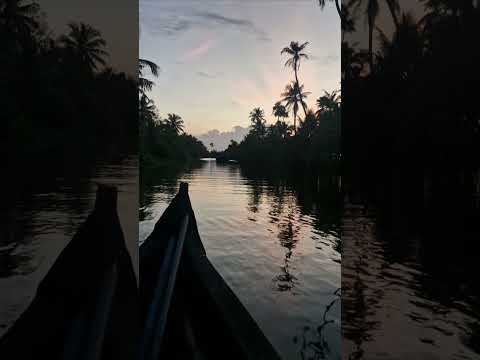 Evening ഒരു boat യാത്ര 🛶#nature #boat #kumarakom