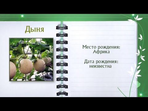 Кулинарная энциклопедия - Дыня - Часть 2 - UC7XBjhXnmmXFsxmnys9PmDQ