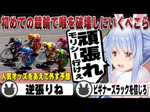 【競輪】テンションが上がりすぎて喉を破壊するほどの応援をする兎田ぺこら【ホロライブ/兎田ぺこら/切り抜き】 #兎田ぺこら