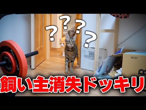 【ドッキリ】大好きな飼い主が突然消えてしまったら、猫たちが大混乱してしまいましたwww