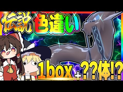 【増殖】色違いパオジアンを1boxを超えて限界突破までゲットしようと企む霊夢【ポケモンSV】【ゆっくり実況】