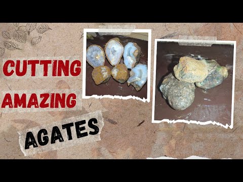 Cutting and exposing thunder eggs cores | with a tough saw #agate