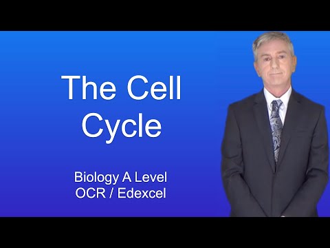 A Level Biology Revision “The Cell Cycle”