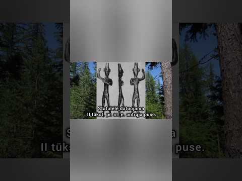 Netikėtas radinys Klaipėdos rajono miške