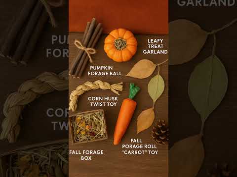 I hope you pets have a happy fall