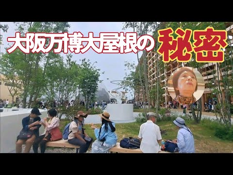大阪万博２０２５年に行って来ました/女ひとり旅/大屋根に登って感動する/#大阪万博/#大屋根リング/#Expo 25