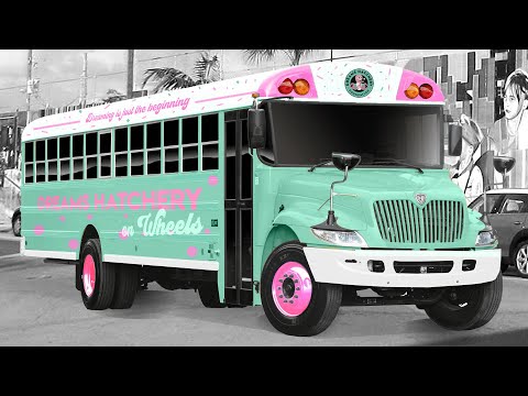 Dreams Hatchery  Promo - Español