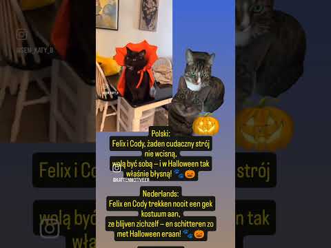 🎃🖤😹Felix en Cody trekken nooit een gek kostuum aan,ze blijven zichzelf.. #voorjou #funny #halloween